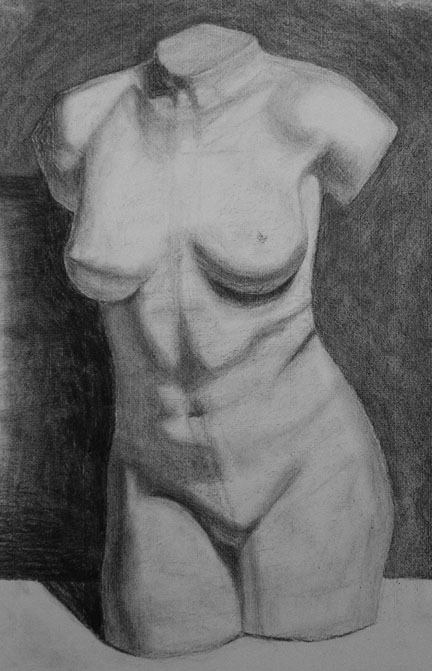 Torso Drawing